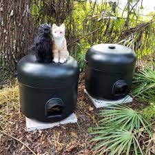 how to build a feral cat shelter cole