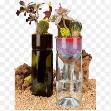 Wine Plants Beer Succulent Plant Bottle