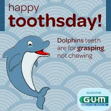 happy toothsday