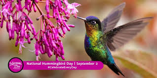 National Hummingbird Day September 2
