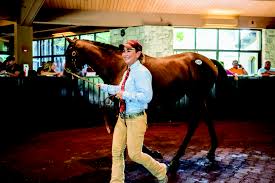 the s side of keeneland however is another regularly bringing in 500 to 600 million annually it is the largest thoroughbred auction pany
