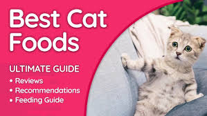Best Cat Foods In 2019 Brand Reviews Analysis