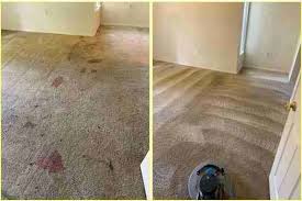 rat nasty apartment carpet cleaning