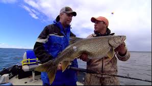 Lake Trout Length To Weight Conversion Chart