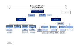 organizational chart division of