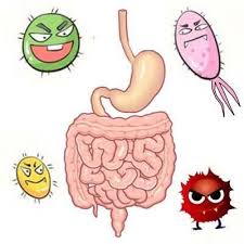 causas de la gastroenteritis