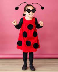 diy ladybug costume