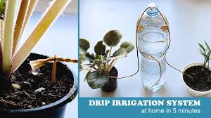 easy drip irrigation system at home in