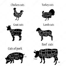 Cow Diagram Of Meat Cuts Stock Images Royalty Free Beef