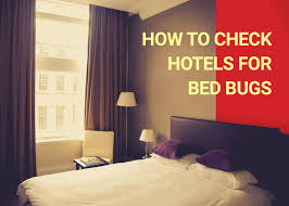 Since the early 2000s there has been a when staying in a hotel, hostel, b&b or any other overnight accommodation while on holiday, inspecting the room for bed bugs can help you avoid bed bug bites. How To Check Hotels For Bed Bugs Dodson Pest Control