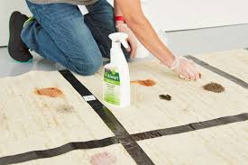 the 9 best carpet stain removers of