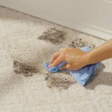 rejuvenate 32 oz carpet cleaner