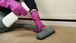 dallas carpet cleaning carpet