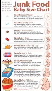 12 Most Popular Pregnancy Food Size Chart