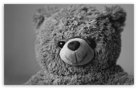 teddy bear ultra hd desktop background