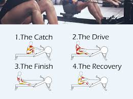 Rowing Is Good For You Its A Total Body Workout Maybe