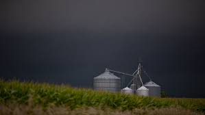 U S Farmers Battered By Low Commodity Prices And Trade War