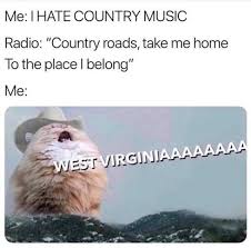 States that favored cats or dogs during coronavirus pandemic: Dopl3r Com Memes Methate Country Music Radio Country Roads Take Me Home To The Place I Belong Me West Virginiaaaaaaaa