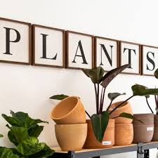 top 10 best plant pots in glendale ca