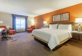 hilton garden inn chicago tinley park