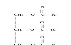 triglyceride of a typical vegetable oil