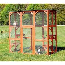 wooden outdoor cat house