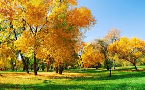 Autumn scenery 10769 - Autumn Theme ...