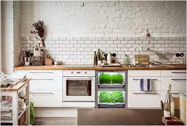 urban cultivator