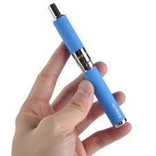 They enable you to access the active ingredients in the herb without having to burn it and therefore best vape pens for dry herb. Best Dry Herb Vaporizer Under 50 Dollars In 2021 10 Cheap Vape Pens