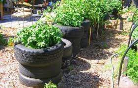 How To Build An Outdoor Herb Garden