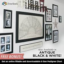 Treeseek Family Tree Wall Poster Fan Chart Large Colored