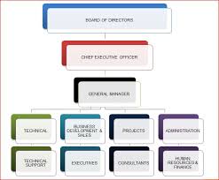 Organization Structure Nfe Consulting Sdn Bhd