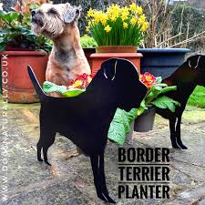 Border Terrier Garden Planter Trio