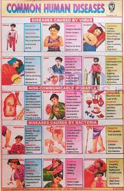 Comman Human Diseases Chart Number 154 Minikids In