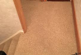 pure clean ni professional carpet