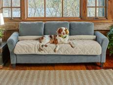 14 pet friendly couches in 2024 best