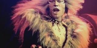 1 rum tum tugger is a curious cat by