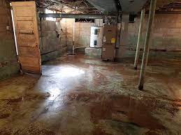 Wet Basement Repair Service Provider In