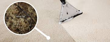 professional carpet cleaning g s