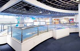 海洋 博物館 名古屋