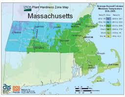 Massachusetts Vegetable Planting Calendar