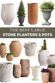 the best large stone planters sugar