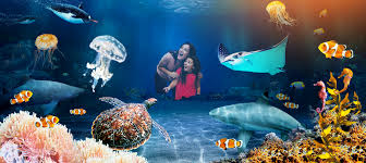 sea life aquariums attractions