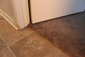 pet damage carpet repair tucson