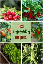 Vegetable Garden On A Deck Tips For
