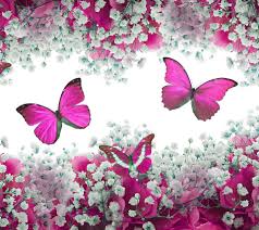 pink flowers with erflies