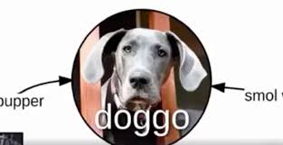 What Makes A Doggo Digg