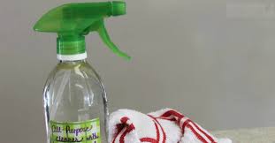 Homemade Cleaners All Purpose Cleaning