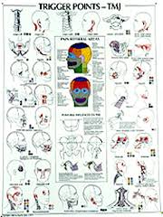 Experienced Trigger Point Therapy Chart Trigger Point