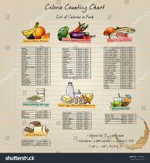 Colorful Calorie Chart Healthy Elementary Food Stock Vector